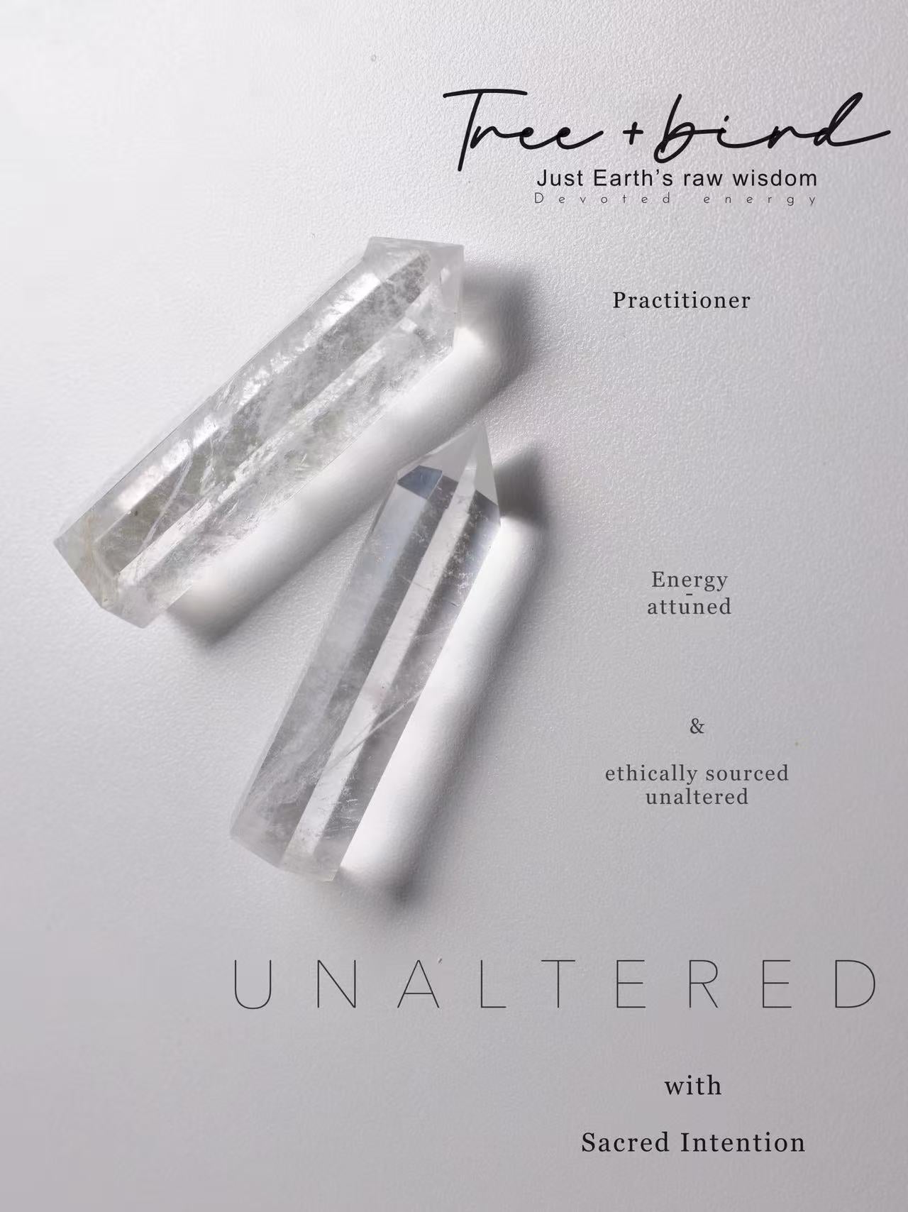 crystals_treeandbird