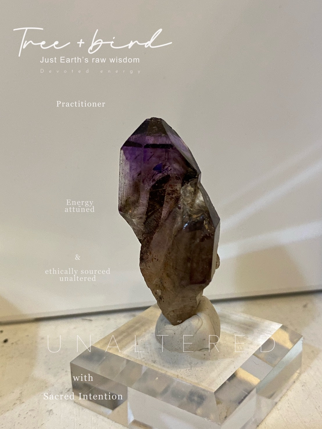 crystals_treeandbird