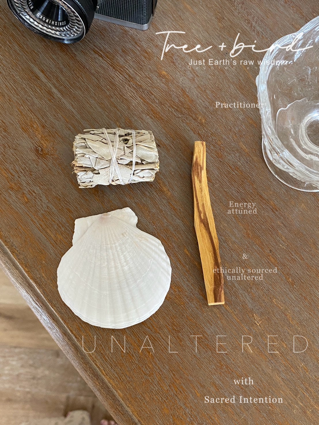 療癒淨化組合｜秘魯聖木 × 白鼠尾草 × 天然貝殼