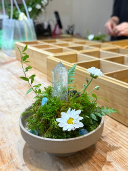 《療癒能量 × 靈魂色彩》水晶植栽｜喚醒七脈輪的內在光芒課程活動
